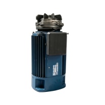 ABUS 锥形转子双速起升电机 AN102137 三相380-415V/50Hz