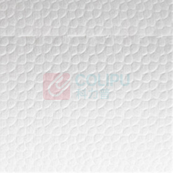 格洁 强力高效擦拭布工业擦机擦油布 710068 25cmx38cmx500张/卷 (白色)