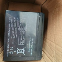 天能 扫雪车电池 12V