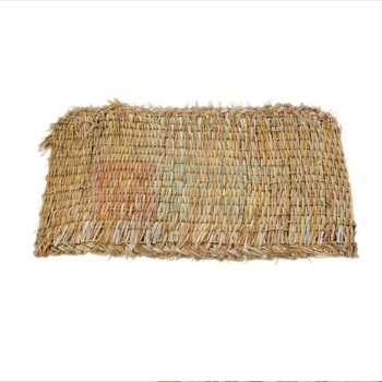 蓓尔蓝 防滑草垫 AD220 50cm*90cm/张 