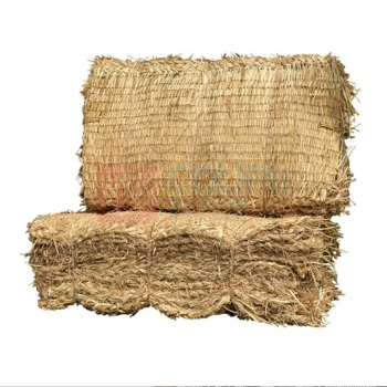 蓓尔蓝 防滑草垫 AD220 50cm*90cm/张 