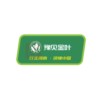 豫见金叶 防滑垫商用电梯地垫入户迎宾地毯脚垫定制 1400*900MM