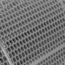 玉金朗 防滑地垫 12000mm*2000mm*2.5mm 材质:PVC (绿色)