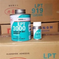 力普特 粘接剂硬化剂套装 LPT3000 1Kg+ER-45 40g