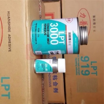 力普特 粘接剂硬化剂套装 LPT3000 1Kg+ER-45 40g