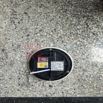 雷士 LED灯 应急标志灯 LS-BLJC-1LREⅠ1W-DM160-BXG DC36V 1×1W
