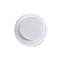 敏华电工 MINHUA 集中控制型消防应急照明灯 吸顶N-ZFJC-E10W8278