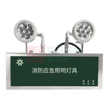 深照紫光 消防应急照明灯 GB8013-6W (军绿色) 防护等级IP66 220V 色温5000K