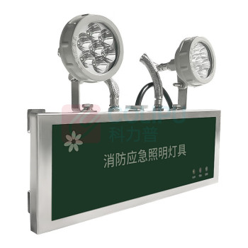 深照紫光 消防应急照明灯 GB8013-6W (军绿色) 防护等级IP66 220V 色温5000K