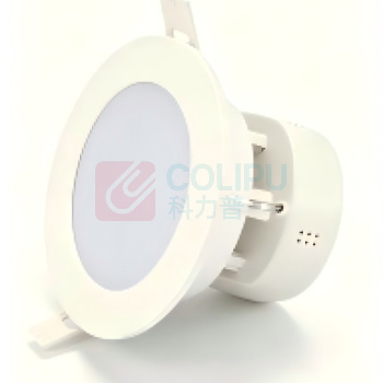敏华电工 MINHUA 消防应急筒灯 5W 6500K/220V (冷白光) 开孔100*75mm
