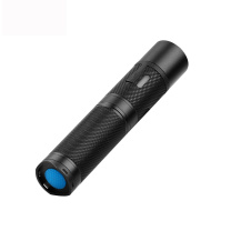 凯圣蓝 微型照明电筒 XZDT1 116.5*23.2mm 