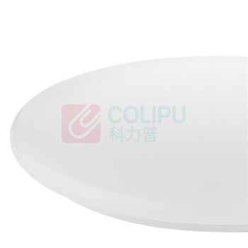 凯圣蓝 LED吸顶灯 21W XD-21