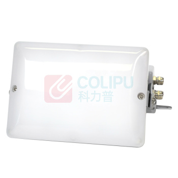 通明 LED应急照明灯 ZY8810B-L6 照明6W+应急4W IP65 AC90~264V 5000K 应急时间10h LED光源 (白色)