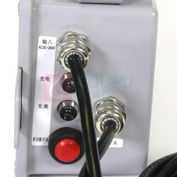 通明 LED应急照明灯 ZY8810B-L6 照明6W+应急4W IP65 AC90~264V 5000K 应急时间10h LED光源 (白色)