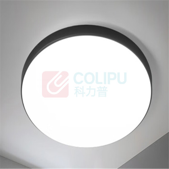勋狸粑 LED应急三防灯 21W 一个 (本色)