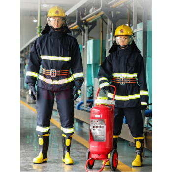 洪湖 推车灭火器 MFTZ/ABC35 手推35kg