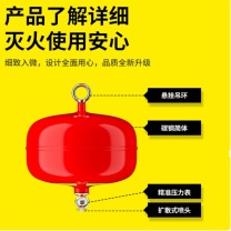 浙安 ZHEAN 超细干粉灭火器 悬挂式 6kg