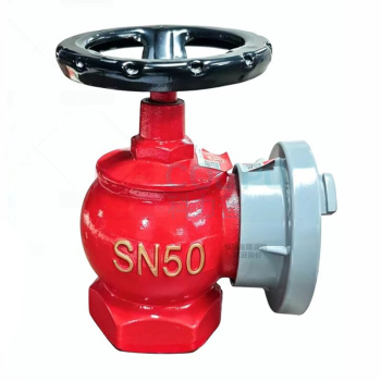 国产 消防栓阀门 SN50