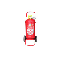 淮海 干粉灭火器 MFTZ/ABC35 35kg 
