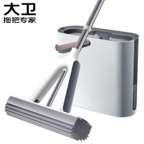 大卫 海绵胶棉拖把桶 M5 1杆2头 (白色)
