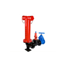 洪湖 多功能水泵接合器 消防水泵接合器 地上式水泵接合器 SQS1001.6