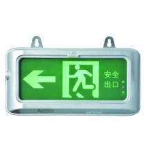 华荣 消防应急标志灯 HR-BLZD-1LROE I IP65 5000K 90min 3.9kg 铸铝合金 3.5W 220V (灰色)