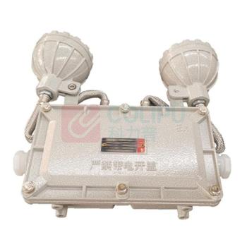 雷发 防爆应急标志灯 LFB-205-08X6000k 2×5W