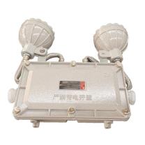 雷发 防爆应急标志灯 LFB-205-08X6000k 2×5W