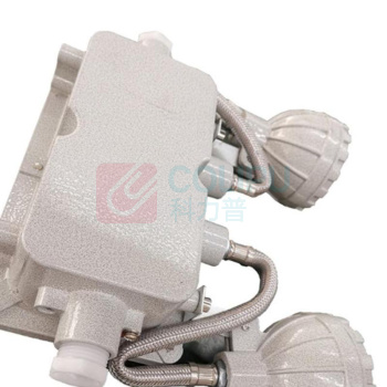雷发 防爆应急标志灯 LFB-205-08X6000k 2×5W