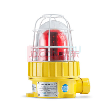大岚 声光报警器 TGBBJ-8W 220v (黄色) 套