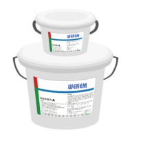 威克姆 高效防腐剂 WM19-777-81 12kg 1组/包
