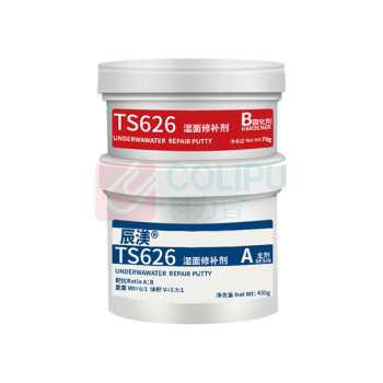 辰渼 湿面修补剂 TS626 500g
