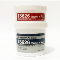 可赛新 TONSAN 湿面修补剂(水下补) TS626 500g/套