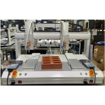 赛勒普 六轴硅胶自动点胶机 双头双工位 SLP-GJ333311 含一套治具和底座