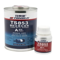 可赛新 TONSAN 橡胶金属粘接剂 TS853 1100g
