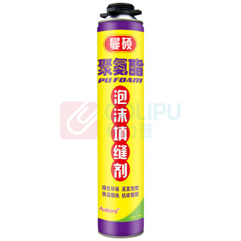 奥斯邦 聚氨酯泡沫填缝剂 通用型 750ml