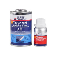 天山 高强度橡胶修补剂 TS919N 500g 1套