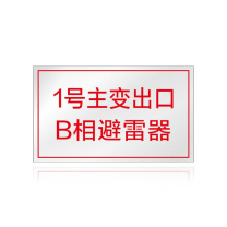其实奇 避雷器标识 QSQ-BS-TY-053 不锈钢-100*60