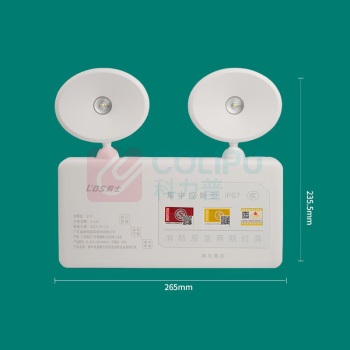 劳士 防水防腐鹰眼双头灯 应急照明双投灯(壁挂) 小型 DC36V 3W LED IP67