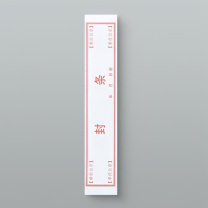 北信源 安全U盘系统 v1.0