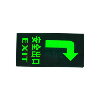 罗德力 PVC荧光标识夜光地贴墙贴 145*295mm 安全出口向右 (黑绿色) 50张/组