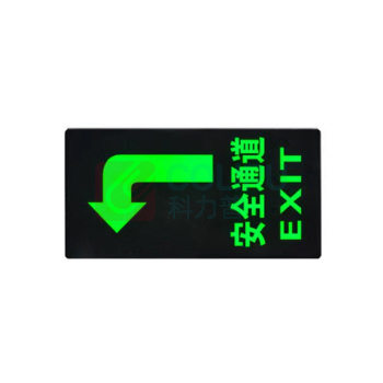 罗德力 PVC荧光标识夜光地贴墙贴 145*295mm 安全通道向左 (黑绿色) 50张/组