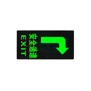 罗德力 PVC荧光标识夜光地贴墙贴 145*295mm 安全的通道向右 (黑绿色) 50张/组