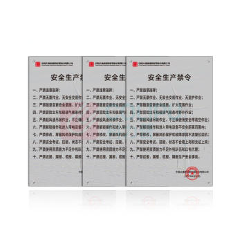 其实奇 安全生产禁令--主控室标识 QSQDTP09701 600*900 亚克力