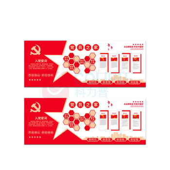 其实奇 党建文化墙(内容可定制) PVC50003000QHD21 5m*3m*6mm PVC附车贴画面含设计排版