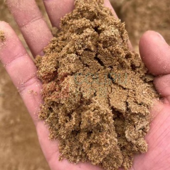 大工象 天然细沙 防汛沙 B03