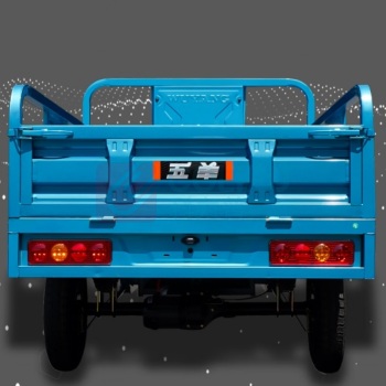 五羊 电动三轮车 FTD610TH