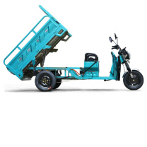 宗申 三轮车 车厢1.6m*1.1m 电压60V 铅酸蓄电池,5*30AH