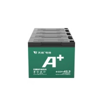天能 叉车电瓶 24V 345ah 12块
