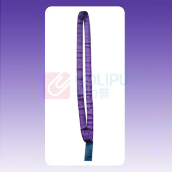 巨力索具 合成纤维圆形吊装带 R01-1T*4M 1T 4m (紫色)